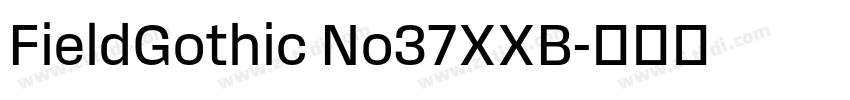 FieldGothic No37XXB字体转换